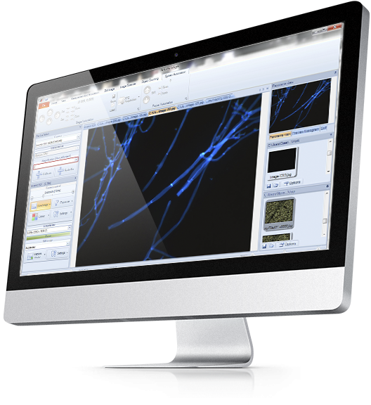 DeltaPix Invenio 6EMIII - Software InSight