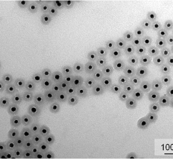 Nanoparticelle di silice Core-Shell