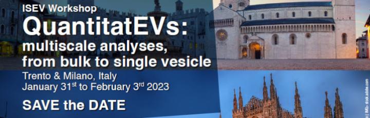 QuantitatEVs: Multiscale analyses, from bulk to single vesicle