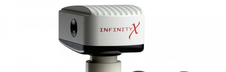 Fotocamere digitali Infinity per microscopi digitali