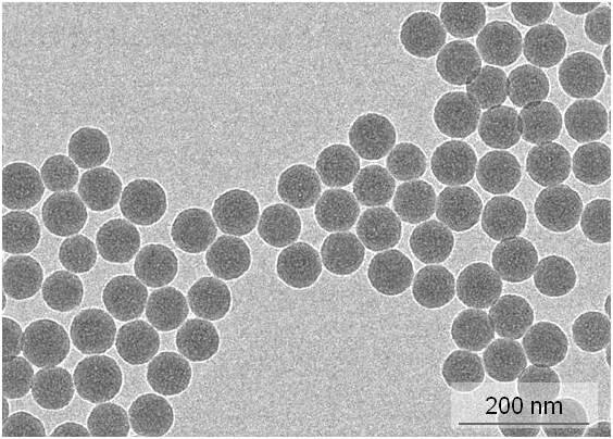 Fluorescent silica nanobeads