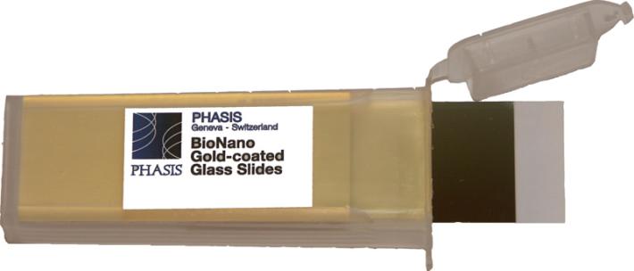 BioNano - Oro su substrato di vetro con strato adesivo in Titanio