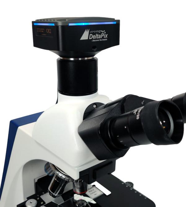 H4KFWSD08DPX - Utilizzo su microscopio
