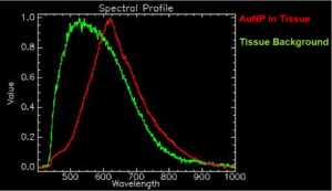 Spectral Response of AuNPs and Tissue