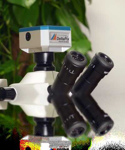DeltaPix Invenio 2EIII - Microscope camera with 2.3 Megapixel Exmor(tm) sensor