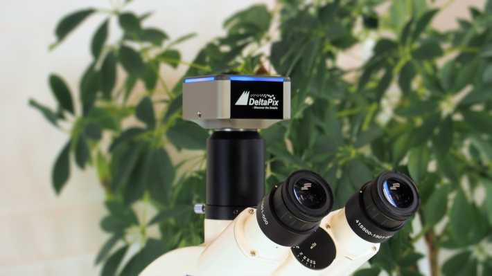 Invenio-6EIII - Microscope camera with 6 Megapixel Exmor(tm) sensor