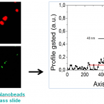 25nm fluorescent nanobeads dispersed on a glass slide