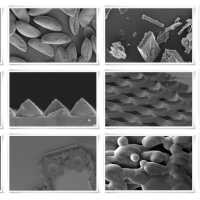 Microscopes for Nanoscale Imaging