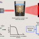 Diffusing Wave Spectroscopy (DWS)