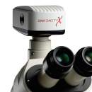 Fotocamere digitali Infinity per microscopi digitali
